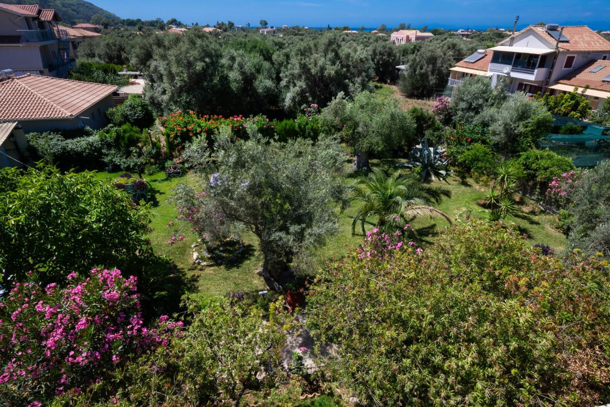 Villa Fenia Lefkáda Eksteriør bilde